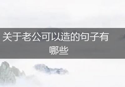 关于老公可以造的句子有哪些