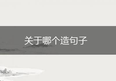 关于哪个造句子