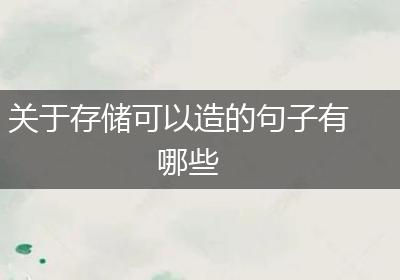 关于存储可以造的句子有哪些