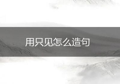 用只见怎么造句