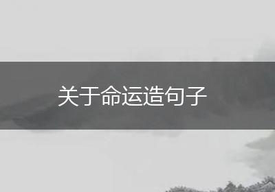 关于命运造句子