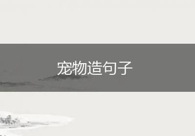 宠物造句子