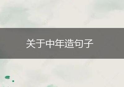 关于中年造句子
