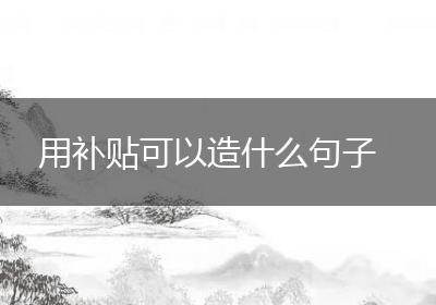 用补贴可以造什么句子