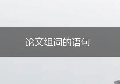 论文组词的语句
