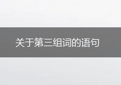 关于第三组词的语句
