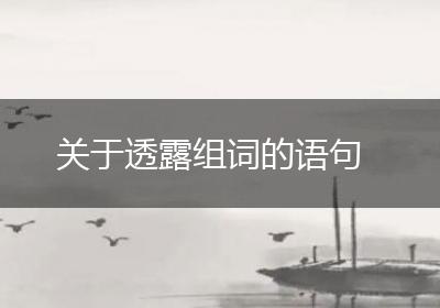 关于透露组词的语句