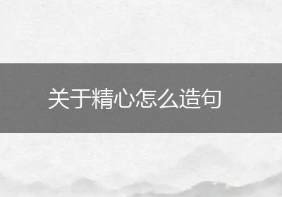 关于精心怎么造句