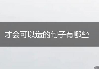 才会可以造的句子有哪些