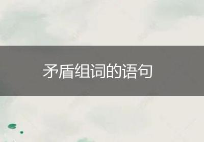 矛盾组词的语句