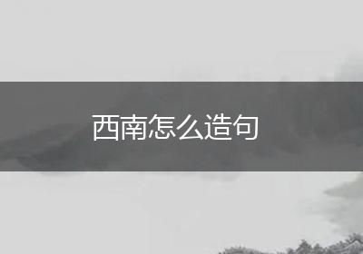 西南怎么造句