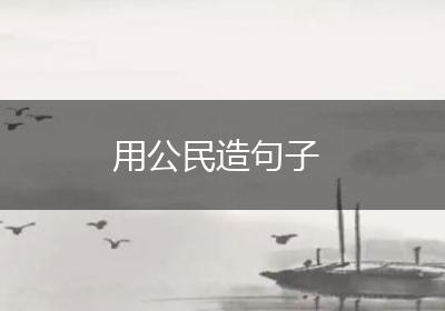 用公民造句子