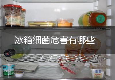 冰箱细菌危害有哪些