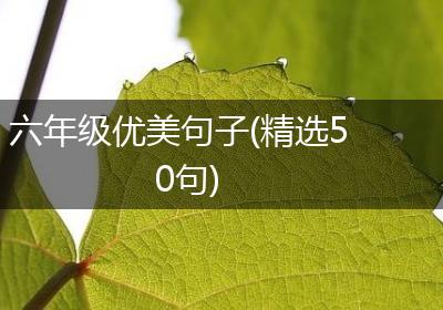 六年级优美句子(精选50句)