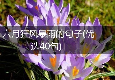 六月狂风暴雨的句子(优选40句)