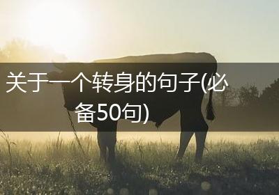 关于一个转身的句子(必备50句)