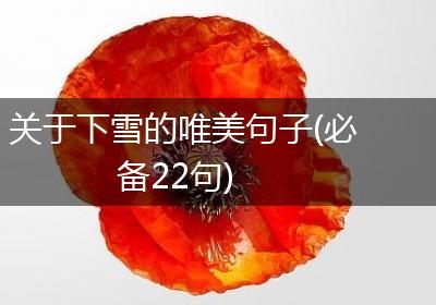 关于下雪的唯美句子(必备22句)