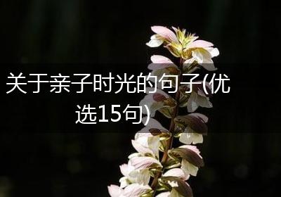 关于亲子时光的句子(优选15句)