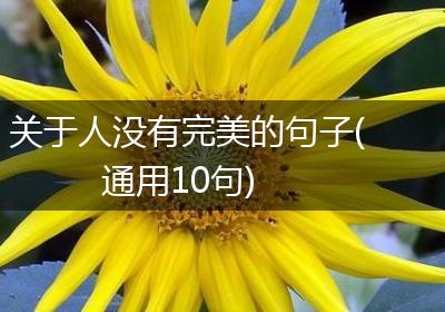 关于人没有完美的句子(通用10句)