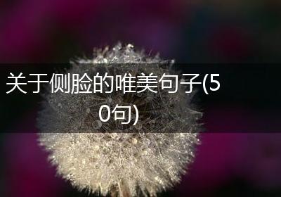 关于侧脸的唯美句子(50句)