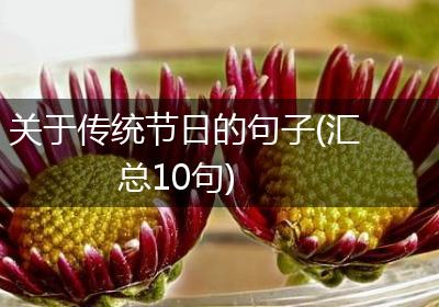 关于传统节日的句子(汇总10句)