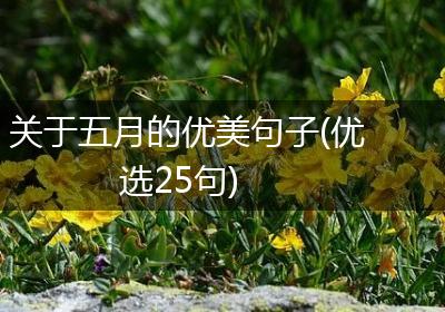 关于五月的优美句子(优选25句)