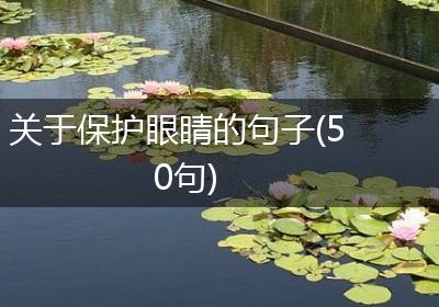 关于保护眼睛的句子(50句)