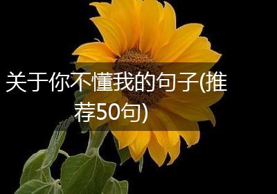 关于你不懂我的句子(推荐50句)