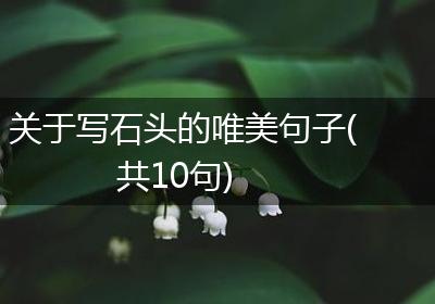 关于写石头的唯美句子(共10句)