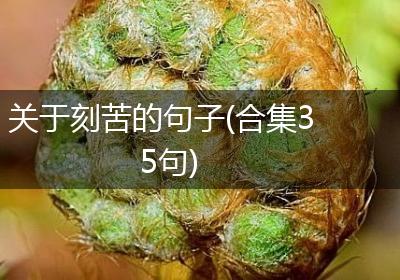 关于刻苦的句子(合集35句)