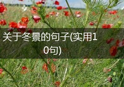 关于冬景的句子(实用10句)