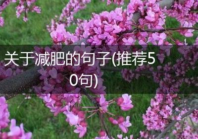 关于减肥的句子(推荐50句)