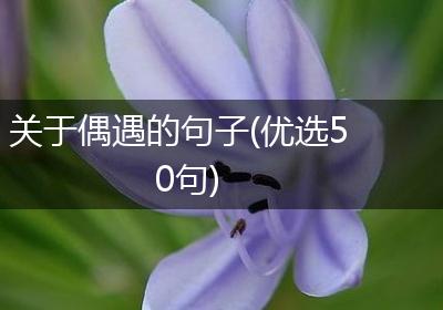 关于偶遇的句子(优选50句)