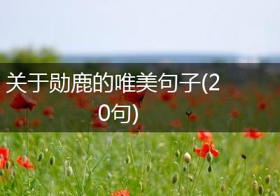 关于勋鹿的唯美句子(20句)