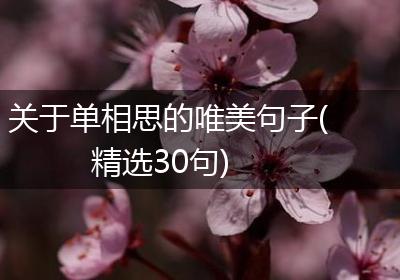 关于单相思的唯美句子(精选30句)