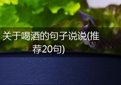关于喝酒的句子说说(推荐20句)