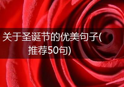 关于圣诞节的优美句子(推荐50句)