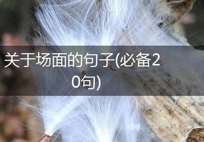 关于场面的句子(必备20句)