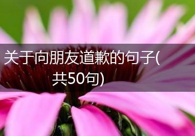 关于向朋友道歉的句子(共50句)