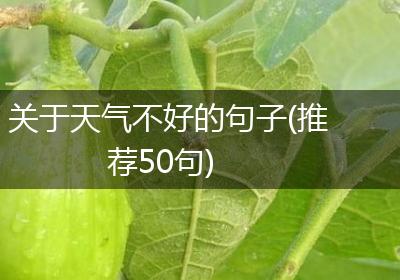 关于天气不好的句子(推荐50句)