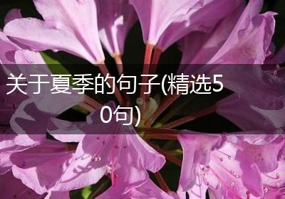 关于夏季的句子(精选50句)