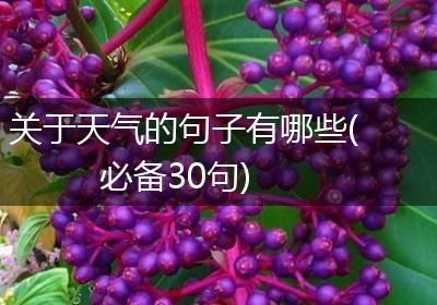 关于天气的句子有哪些(必备30句)