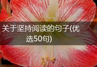 关于坚持阅读的句子(优选50句)