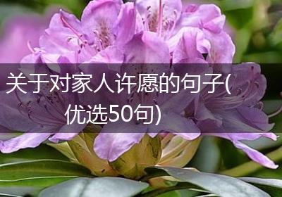 关于对家人许愿的句子(优选50句)