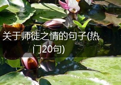 关于师徒之情的句子(热门20句)