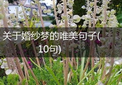 关于婚纱梦的唯美句子(10句)