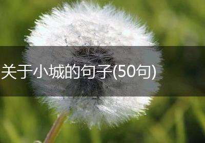 关于小城的句子(50句)