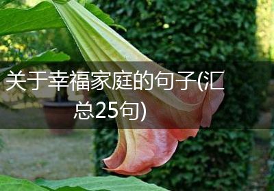 关于幸福家庭的句子(汇总25句)