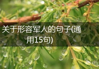 关于形容军人的句子(通用15句)
