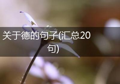 关于德的句子(汇总20句)